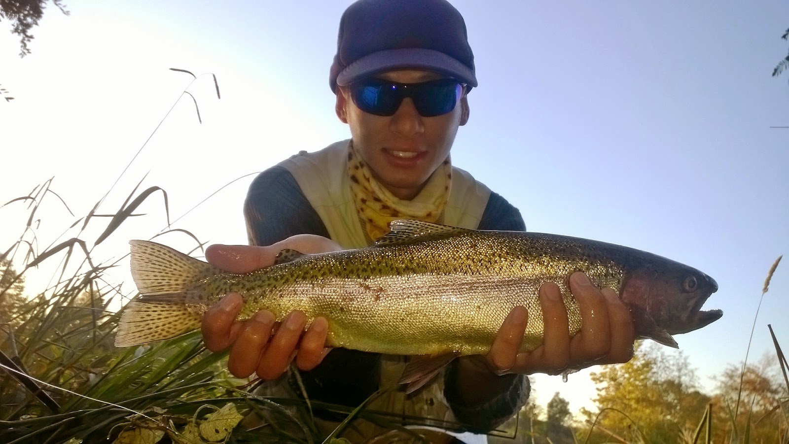 Yuba goldfields – Keep Calm and Fly Fish