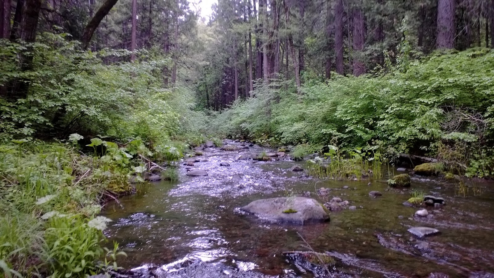 Exploring The Big Chico Creek Upper Watershed