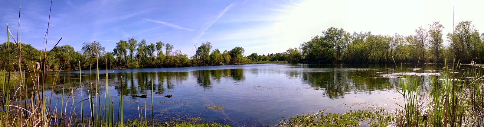 Chico’s Tiechert Pond