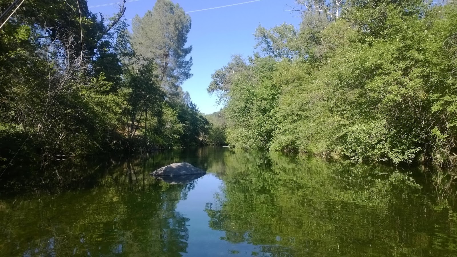 Big Chico Creek June Opener; Horseshoe Lake Fishkill