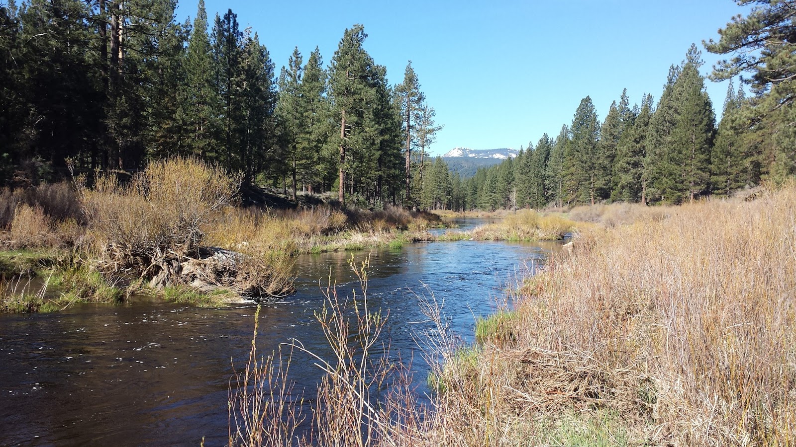 Opened Early – The Middle Fork of the Feather River