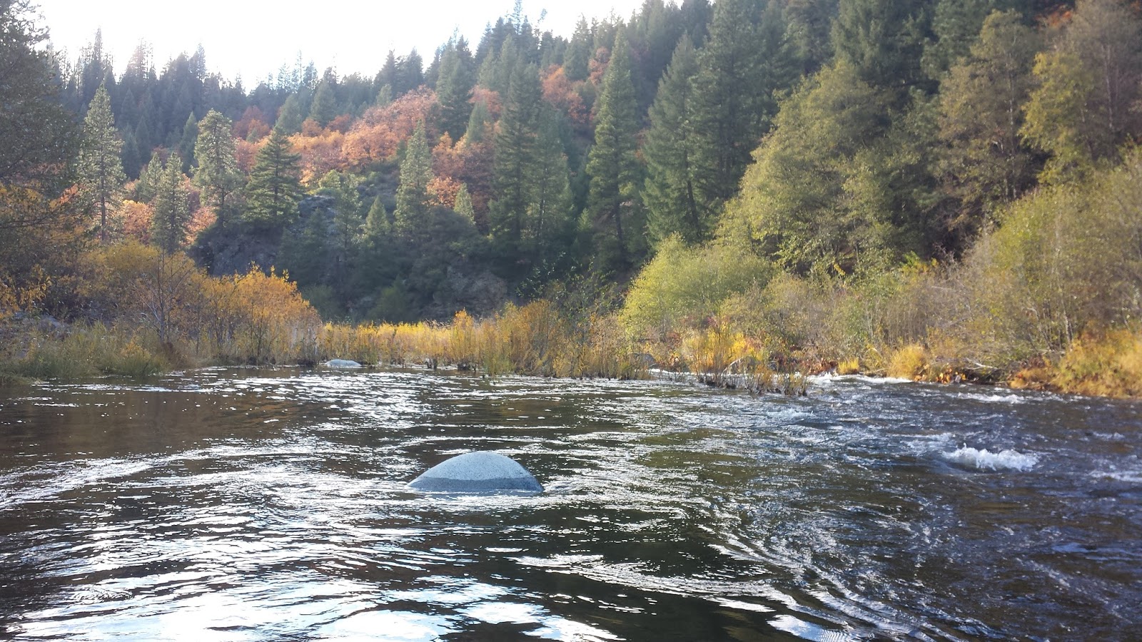Short Fall Outing On The Middle Fork