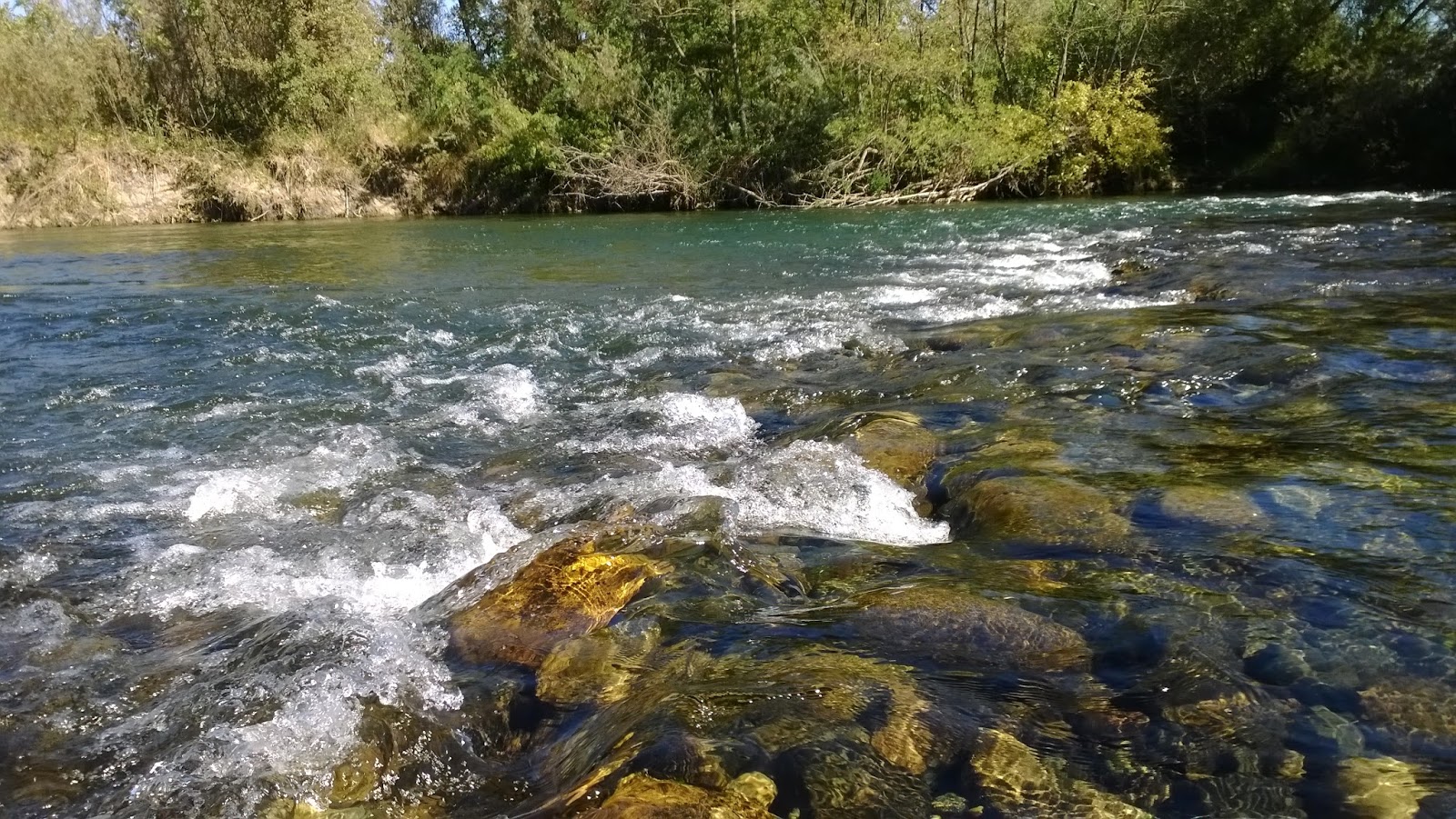 CA DFG Fishing Regulations: Feather River & American River