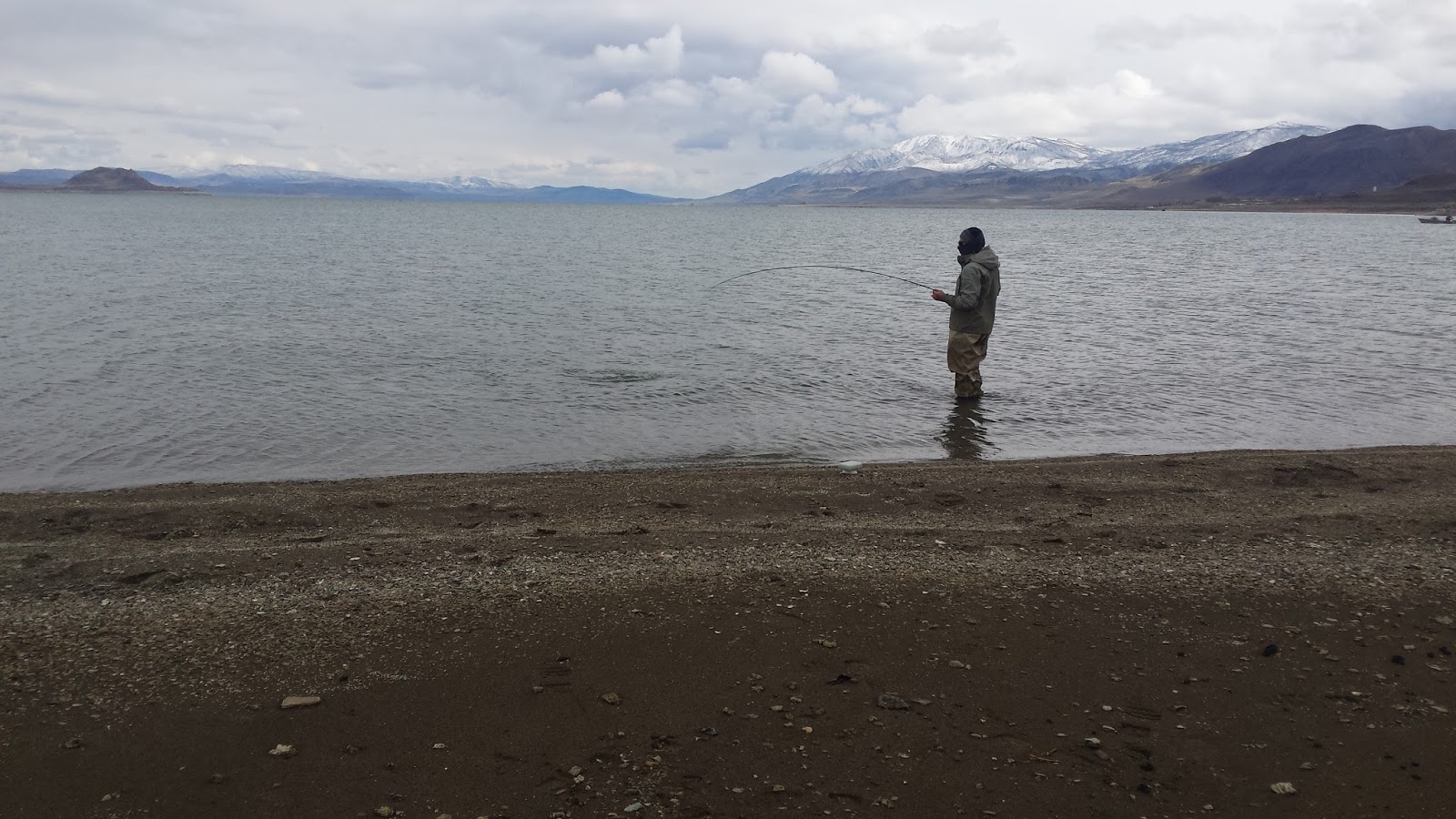 My First Successful Pyramid Lake Outing