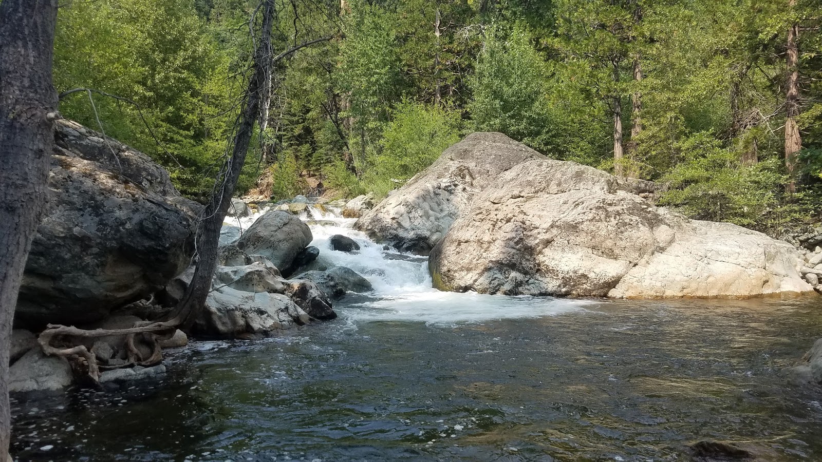Giving The North Fork Yuba River A Second Try