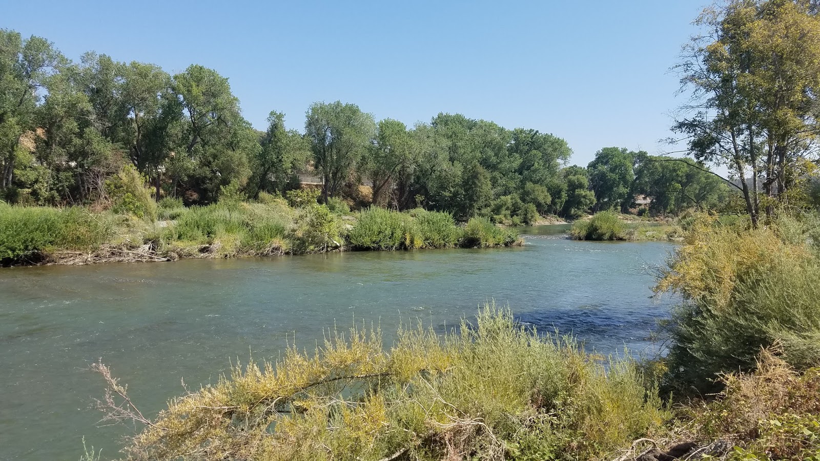How Do I Fish This: Lower Feather River
