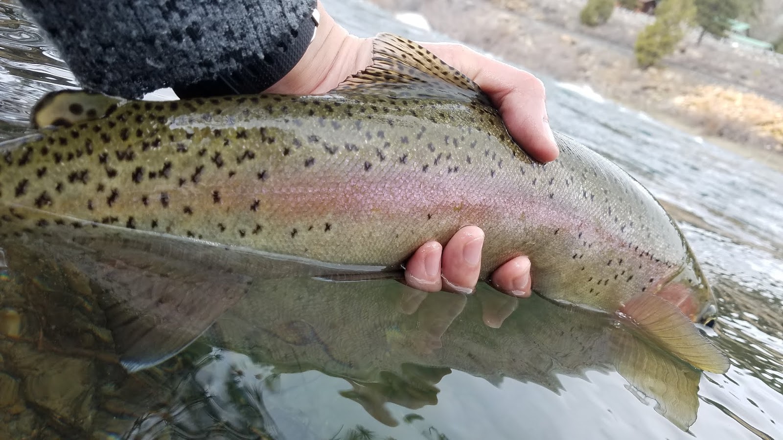 Finding Chunks During High Truckee Flows