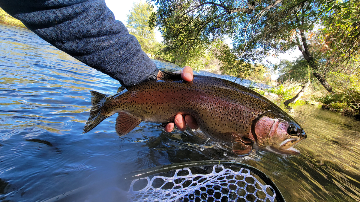 Hat Creek – Keep Calm and Fly Fish